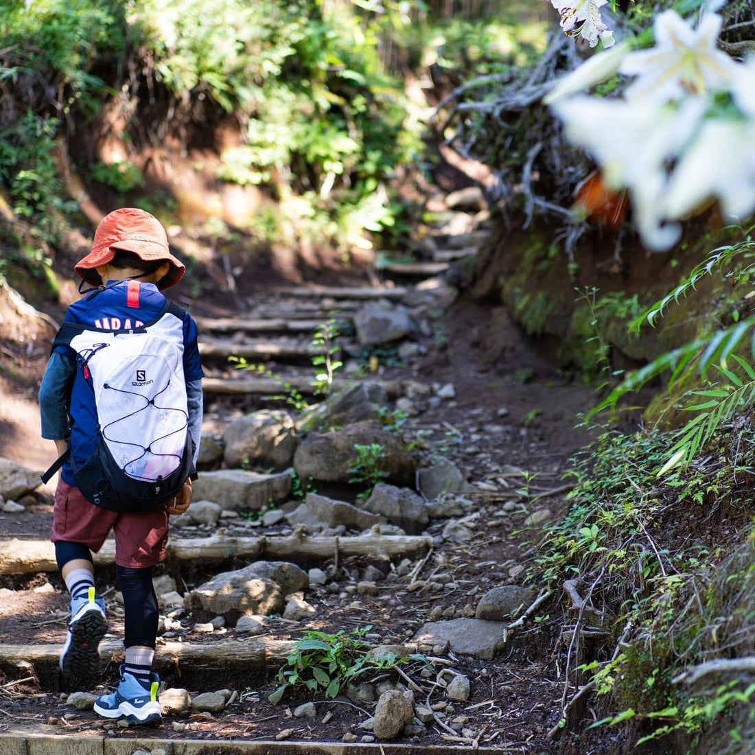 金時山を親子で登る：金時神社登山口コース