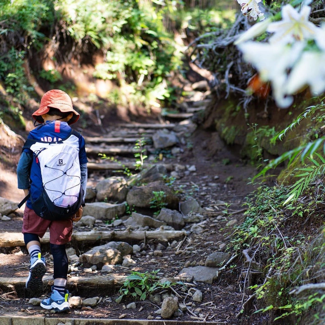 金時山を親子で登る：金時神社登山口コース - Outdoor Path | アウトドアレンタルの"ドアパス" 公式ストア